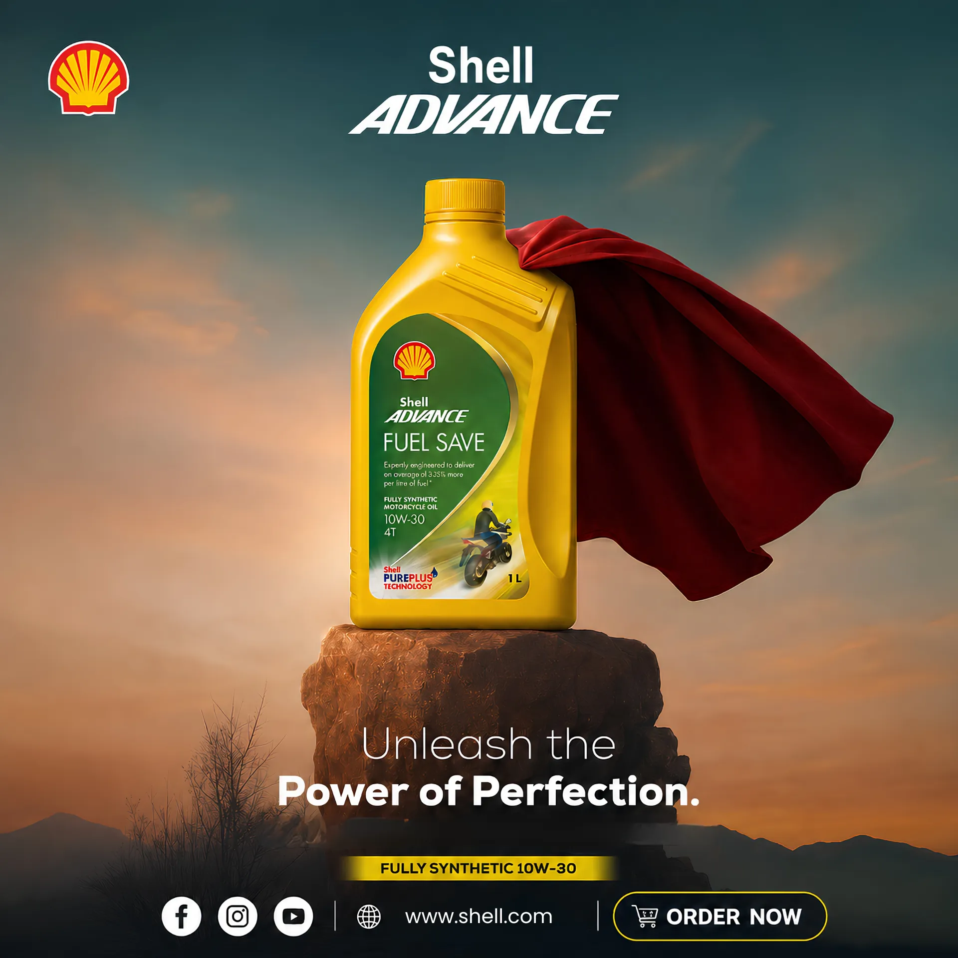 Shell Campaign